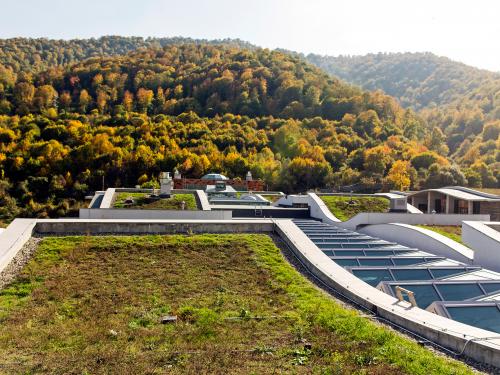 Extensive green roofs with glass roof areas